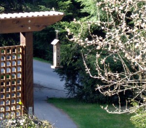 Nothing says spring like a bird house next to blooms!