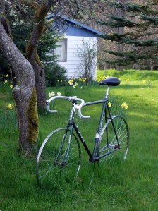 Bicycle art along Tripp Road