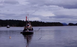 Early April in Ganges Harbour