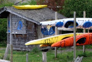 Colorful kayaks ready to launch.