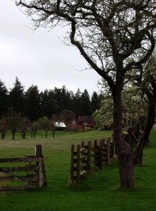 A working heritage farm at Ruckle Park