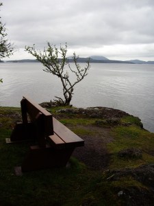 Mark's bench - a place of remembrance