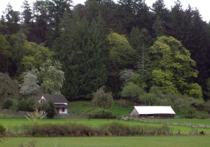 The old homestead, occupied until the 1960s - squint hard and you can see turkeys in the field!
