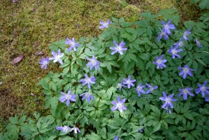 Amazing on a tiny scale