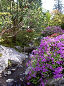 A bubbling brook (really!) feeds the pond