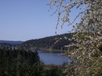 St. Mary's Lake, Salt Spring Island, B.C.