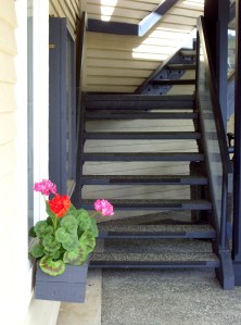 A shady spot tempts passersby to sit for a minute and flip through a book.
