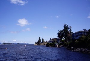 Living the good life, overlooking Ganges Harbour. 