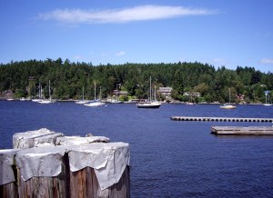 An idyllic place on a sunny day.