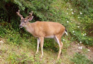 One of the boys was not far behind.