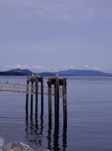 Sidney waterfront with Mt. Baker in the distant background.