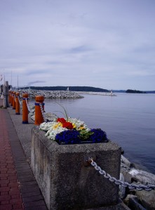 Flowers create a colorful contrast for the blue background.