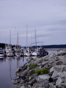 One small part of the marina in Sidney.