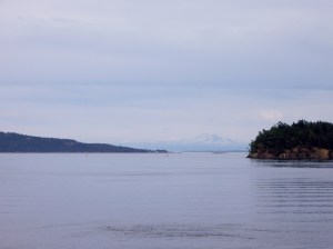Million dollar views from the ferry to Salt Spring.