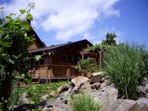 Mistaken Identity tasting room.