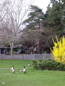 Just passing through on the way to spring.