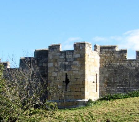 England 2012 York Wall-crop