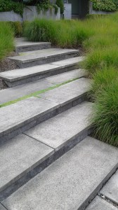 Stairs with ornamental grasses