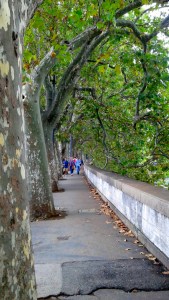 2016-09-18-rome-walking-by-river