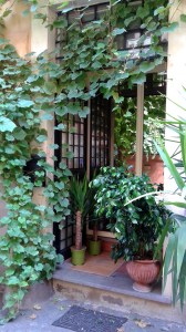 20160911-rome-door-lots-plants